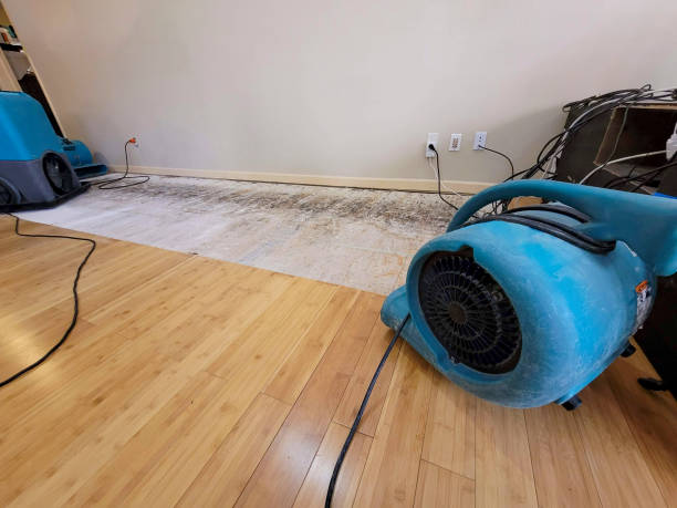 Professional Emergency Water Damage technician working in Verdugo City, CA